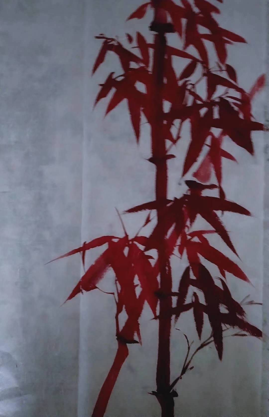 红竹